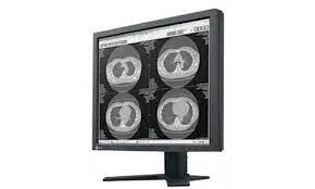 Монитор EIZO 20 G22 IPS 1600 x 1200 DVI